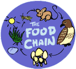 Beaver Food Chain