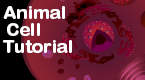 animal cell tutorial