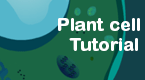 plant cell tutorial