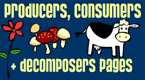 producers consumers nad decomposers