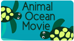 animal ocean game - preschool and kindergarten