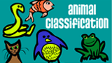 animal characteristics game